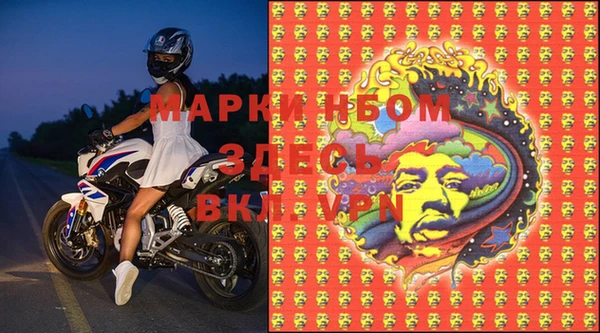эйфоретик Алзамай