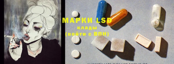 эйфоретик Алзамай