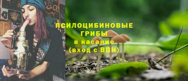 эйфоретик Алзамай