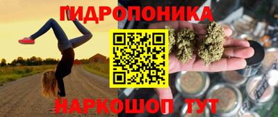 стаф Набережные Челны