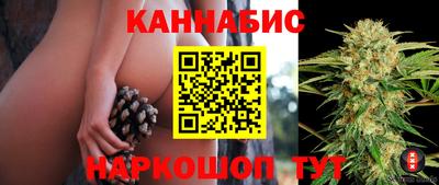 дмт Надым