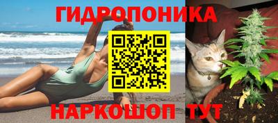круглые Назарово