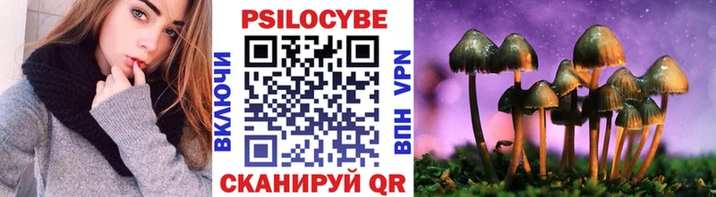 Псилоцибиновые грибы GOLDEN TEACHER  Богородск 