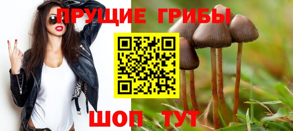 Богородск  Галлюциногенные грибы GOLDEN TEACHER  Вход с VPN 